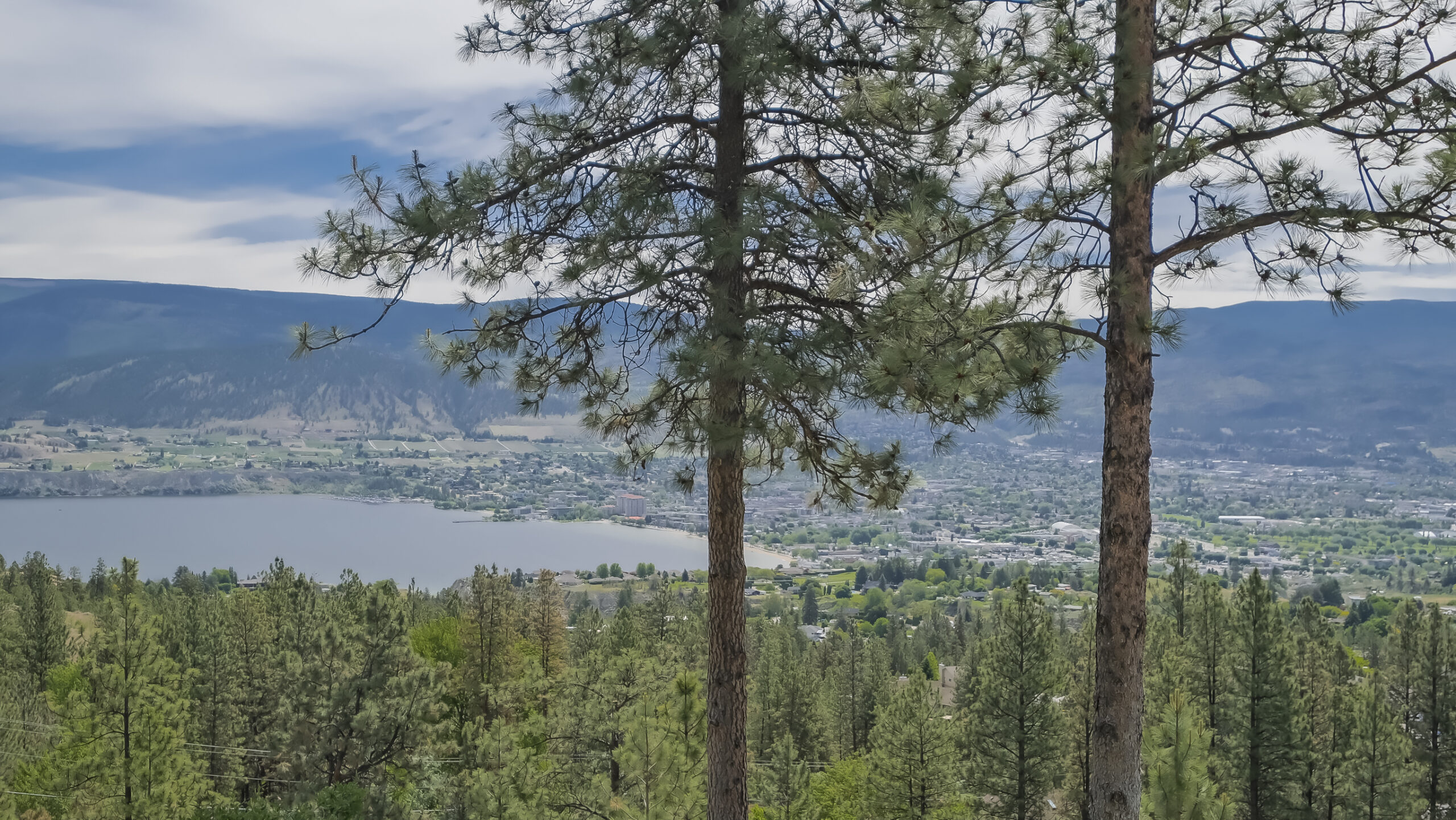 2805 Forsyth Drive Penticton V2A 8Z1