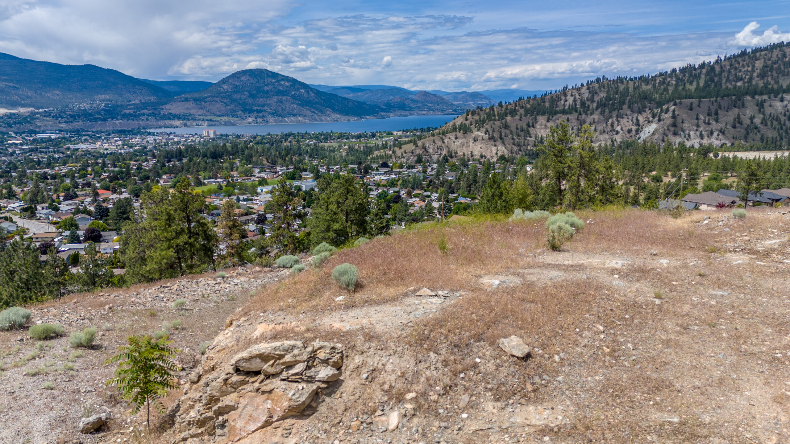 1824 Carmi Avenue Penticton V2A 6K9